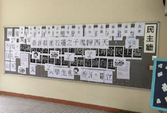 亲中官员子跳楼亡 香港民主墙：恭喜归西