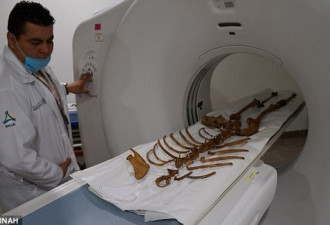 揭秘墨西哥“水下黑洞”:沉浸大量远古生物骨骼