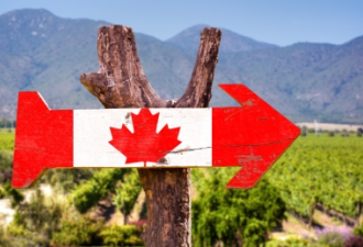 加拿大十年签证成为华人移民逃税工具