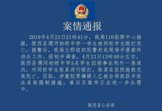 14岁少年被同学围殴致死 曾被叮嘱被打赶紧跑