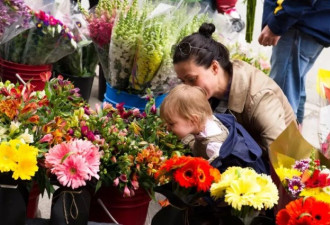 多伦多花卉市场将开放，花美价格还公道