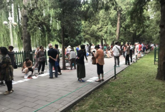 “相亲鄙视链”真存在吗?北京公园相亲角亲测
