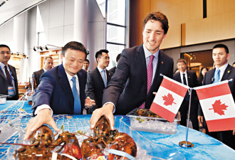 加拿大向美求救 担心中国再禁龙虾和枫叶糖浆
