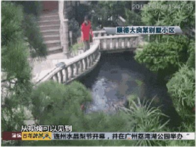 保姆在雇主家中离奇溺亡 监控拍下可怕的一幕