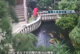 保姆在雇主家中离奇溺亡 监控拍下可怕的一幕