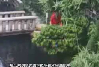 保姆在雇主家中离奇溺亡 监控拍下可怕的一幕