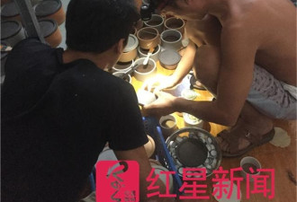 河南:有人抓蛐蛐月赚6万 有人输掉上海2套房
