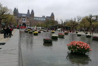 荷兰将停止推广旅游业：游客太多了