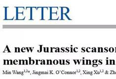 科学家发现擅攀鸟龙科恐龙化石，翅膀类似蝙蝠