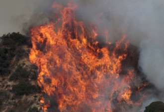 直击洛杉矶野火:狂烧8000英亩 居民撤离家园