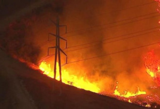 直击洛杉矶野火:狂烧8000英亩 居民撤离家园