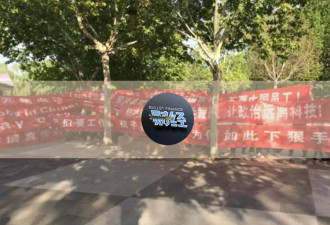 为啥甲骨文被裁员工不值得同情？温水里的青蛙