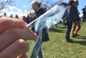 大麻合法化越来越近，魁北克省开展公众咨询