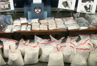 破纪录！多伦多警方缴获700公斤毒品原料拘8人