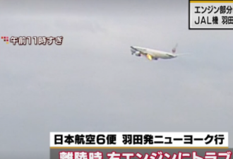 载248人日本客机“撞鸟”致引擎起火迫降