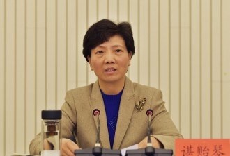 孙志刚辞去贵州省省长她任副省长代理省长