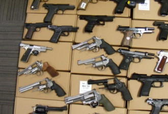 多伦多警方一周回购500支枪