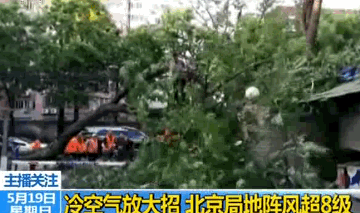 北京遭强风袭击！4人身亡，航班经历惊魂一刻