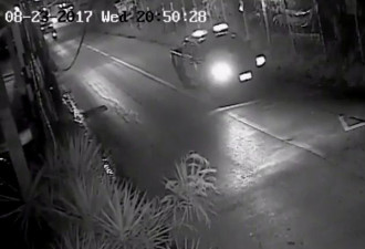 最新监控录像：英拉就是坐着这辆车跑了？