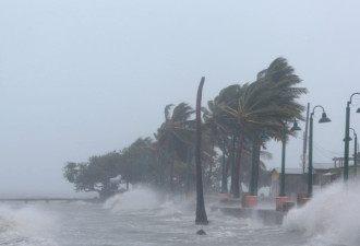 飓风&quot;厄玛&quot;来袭 美国迈阿密市区被淹