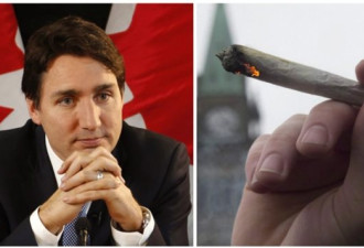 加拿大各级警方：大麻合法太快难控 会出乱子的