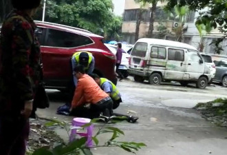 清华博士打死流浪狗？回应:狗叫扰民 见义勇为