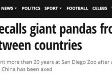 因为2只大熊猫 美国人民终于忍不住痛哭起来...