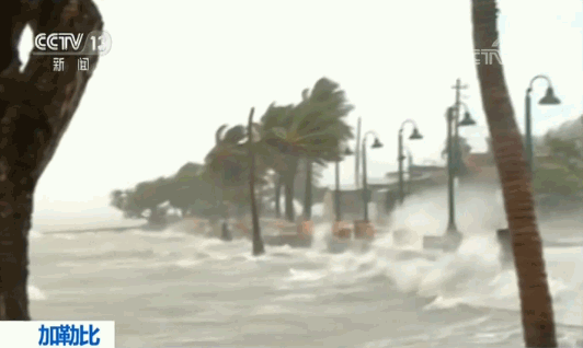 飓风“厄玛”冲击美国佛州740万户停电