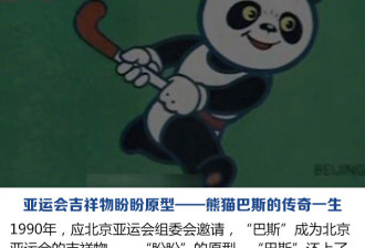 “盼盼”原型传奇大熊猫巴斯去世 终年37岁