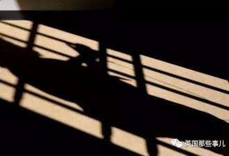 强奸犯变性并转到女子监狱，于是狼进了羊窝