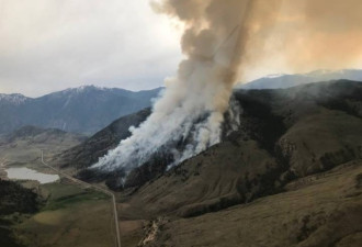 BC省山火蔓延至250公顷 目前仍处于失控状态