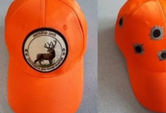 福特花10万元给狩猎者买帽子 鼓励野生动物交易