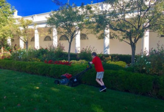 11岁小创业家白宫修剪草坪 川普亲自道谢