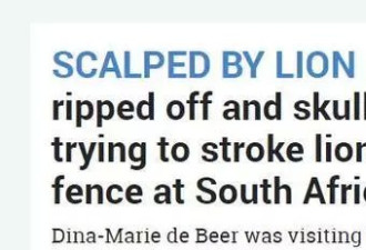 女孩在南非违反规定逗弄母狮 惨被一爪扯掉头皮