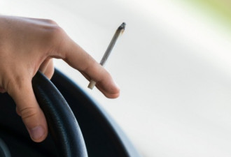 安省将立法重罚开车吸大麻 吊销驾照加罚款坐牢
