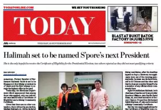 新加坡首位女总统为啥是马来人？