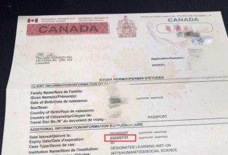 移民局天降大礼 加拿大留学生收到304年学签