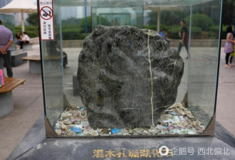 陕西博物馆展柜成投币箱 9块化石无一幸免