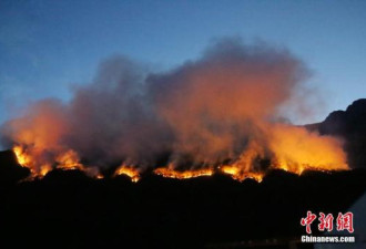 四川凉山再次发生森林火灾，过火面积超20公顷