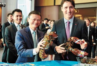 中国支付宝挺进加拿大：龙虾价格还要涨