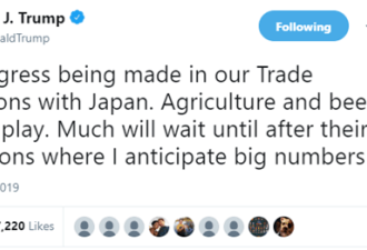 特朗普:美日谈判有大进展 等日本7月选举后再谈