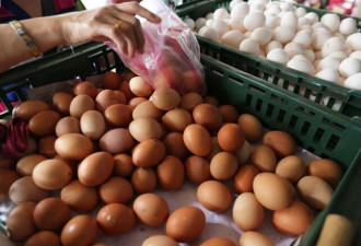 台湾查出“毒鸡蛋” 最重可罚250万