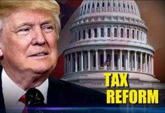 美国确认税改日期 将在9月25日发布税改框架