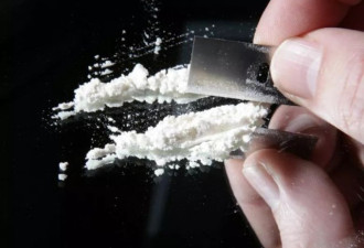 加拿大可卡因毒品使用量竟然全球第二高
