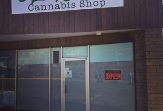BC省这姑娘成加拿大最年轻的大麻店老板