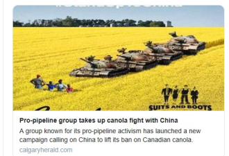 加拿大人吁：抵抗油菜籽田里的中国坦克
