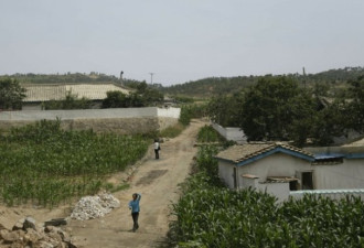朝鲜爆发37年来最严重旱灾，1000万人在挨饿
