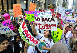 欲削减非法移民 共和党参议员提更严梦想法案