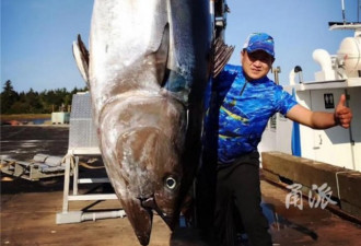 新疆小伙在加拿大钓起半吨重大鱼 竟价值百万