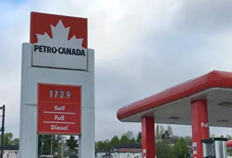 碳税高油价逼迫温哥华开车族抢购电动车